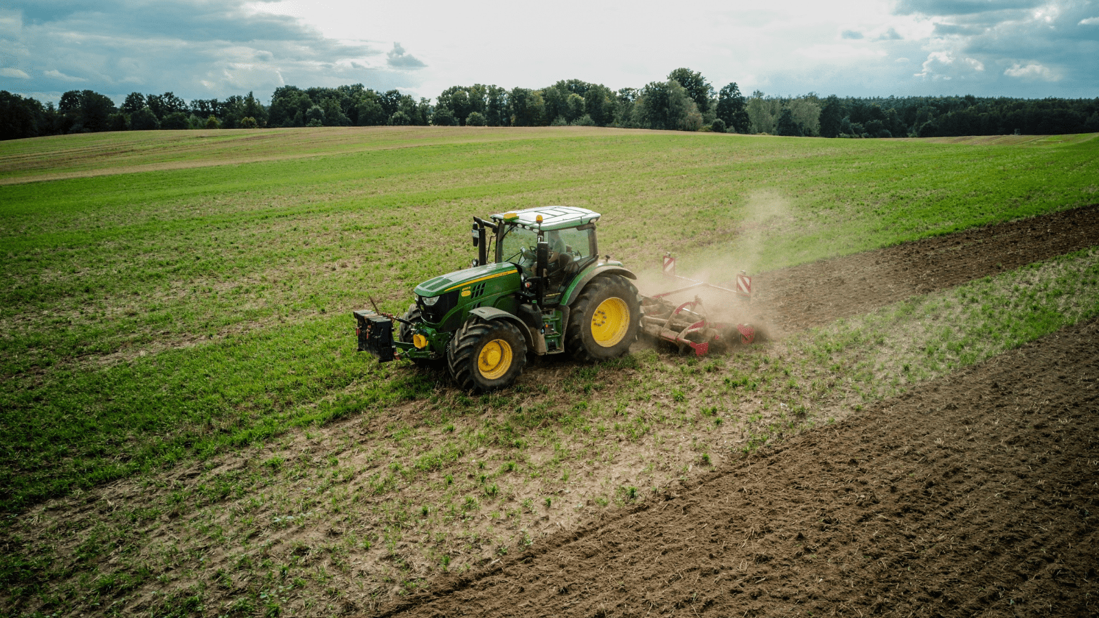 dinaizacion_rural